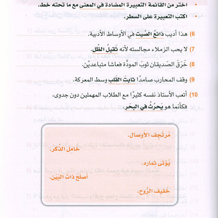 Arabic is the Language of Tomorrow: Idiomatic Expressions Level 2 العربية لغة الغد : التعبيرات الإصطلاحية الجزء الثاني