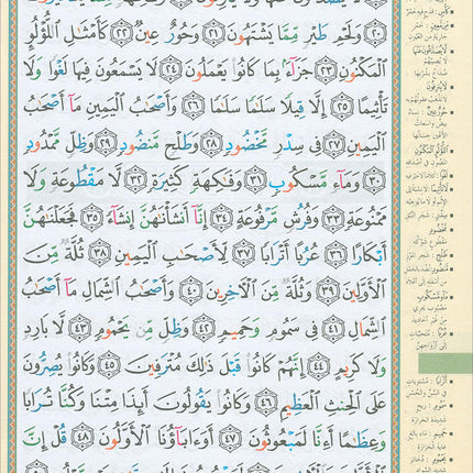 Tajweed Qur'an (Whole Qur'an in 30 Individual Juz', 7" x 10", with Leather Case – Case Color May Vary) مصحف التجويد