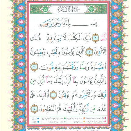 Tajweed Qur'an (Whole Qur'an in 30 Individual Juz', 7" x 10", with Leather Case – Case Color May Vary) مصحف التجويد