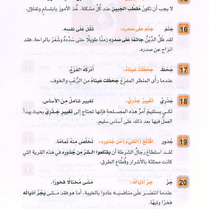 Arabic is the Language of Tomorrow: Idiomatic Expressions Level 2 العربية لغة الغد : التعبيرات الإصطلاحية الجزء الثاني