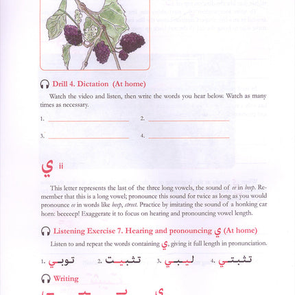 Alif Baa: Introduction to Arabic Letters and Sounds with Website (Third Edition, Hardcover) ألف باء: مقدمة في الحروف والأصوات العربية