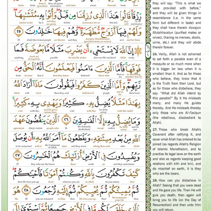 Al-Quran Al-Karim The Noble Quran Black-Large Size A4 (30x21 cm) |Maqdis Quran
