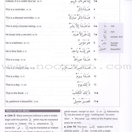 Access to Qur'anic Arabic (3 Books with 4 CDs)