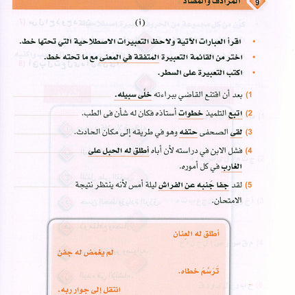 Arabic is the Language of Tomorrow: Idiomatic Expressions Level 2 العربية لغة الغد : التعبيرات الإصطلاحية الجزء الثاني
