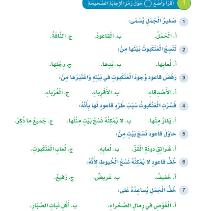 Arabic Sanabel: Level 6 سنابل العربية