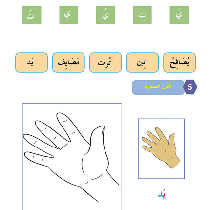 In the Arabic Language Garden Workbook: Level KG2 في حديقة اللغة العربية كتاب التمارين